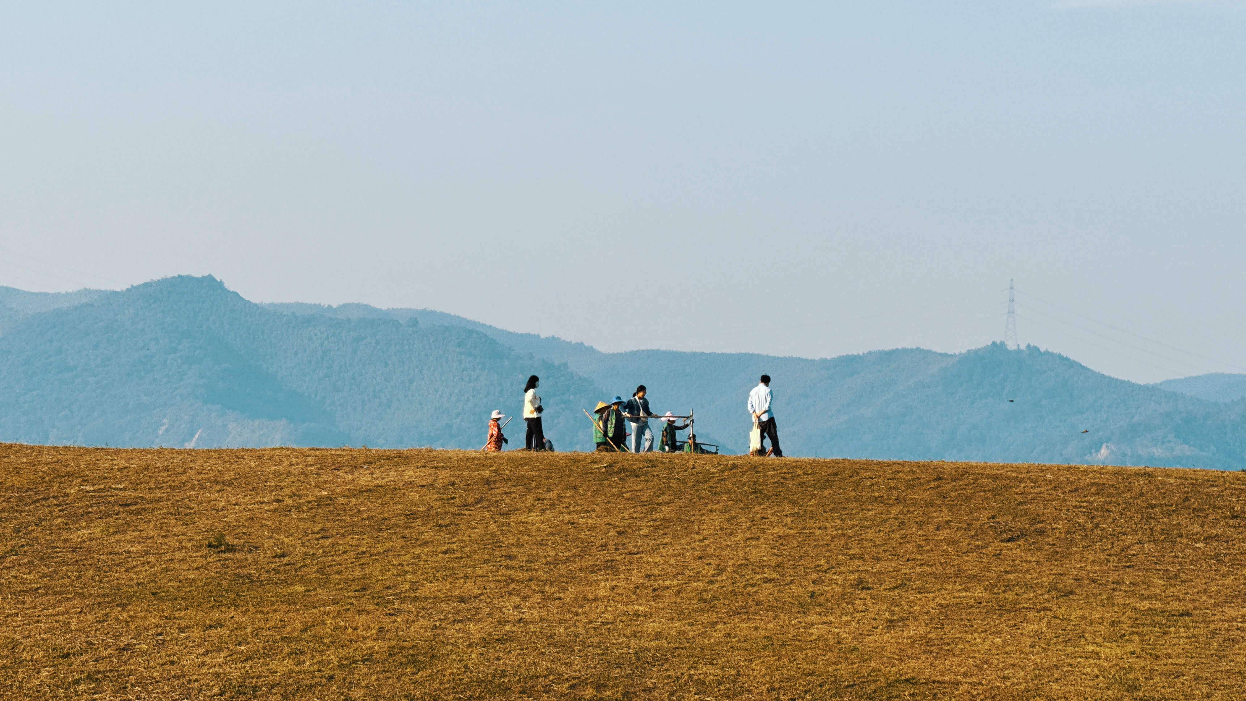 良渚古城遗址：中华五千年文化的见证者